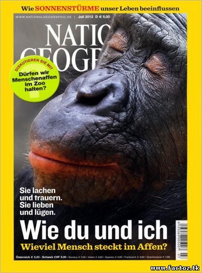 Самые странные в мире: Животные хулиганы (2013) National Geographic смотреть онлайн