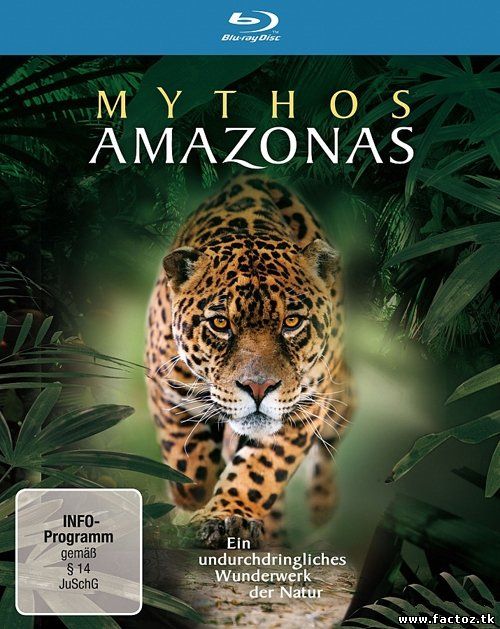 Мифы Амазонки (3 серии) смотреть онлайн в HD