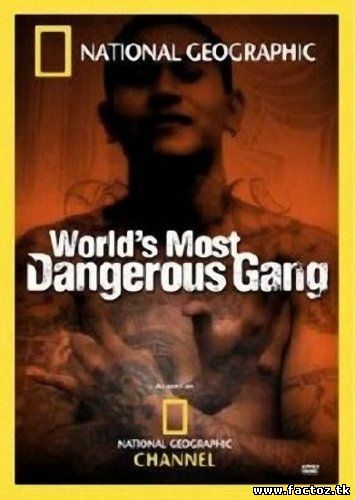 Документальный фильм: MS-13: Самая жестокая банда в мире - смотреть онлайн