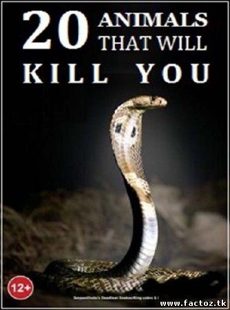 20 животных, которые могут вас убить. National Geographic.