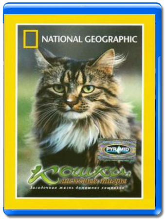 смотреть онлайн Дикая сторона кошек / Wild Side of Cats (2012) National Geographic.