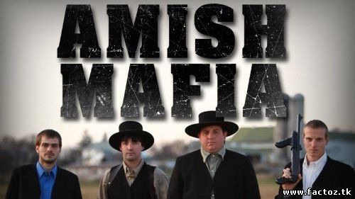 Мафия амишей . Discovery - смотреть онлайн 2 сезон